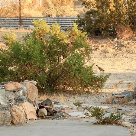 29 Hillside By Jtnp Visitor Center Vila Twentynine Palms Exterior foto