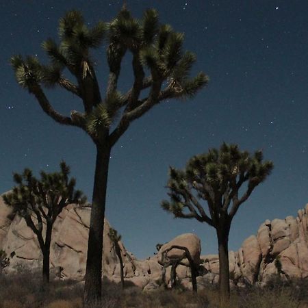 29 Hillside By Jtnp Visitor Center Vila Twentynine Palms Exterior foto